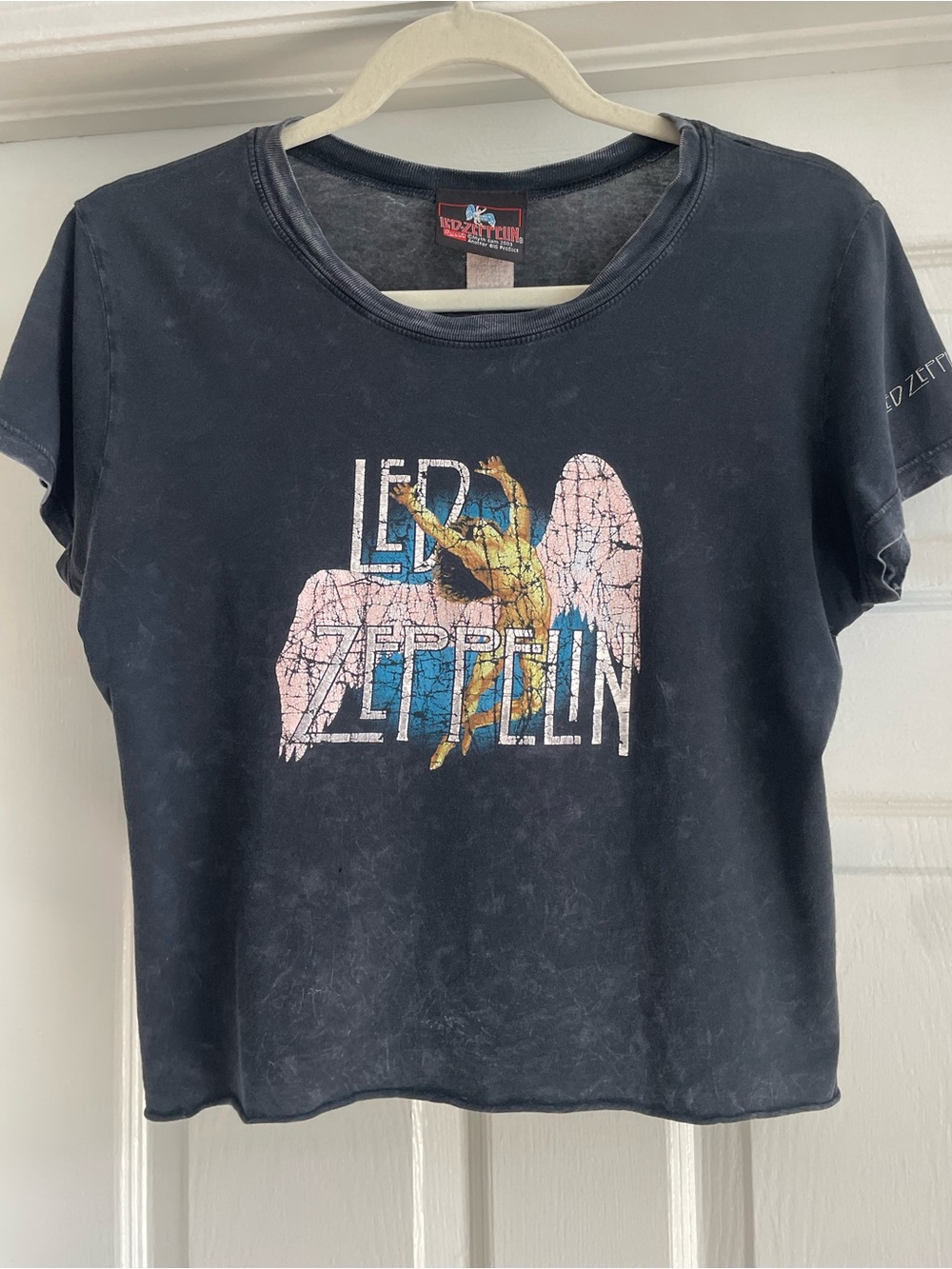 Vintage Led Zepplin Swan Song Cropped Tee Myth Gem 2003 Size XS